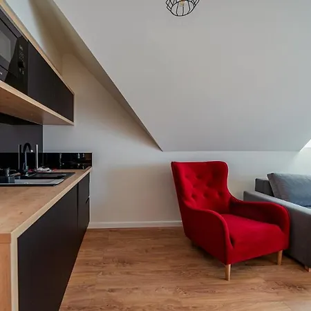 Apartamenty Sun & Snow Resorts H Bialka Tatrzanska Z Sauna Esterno foto